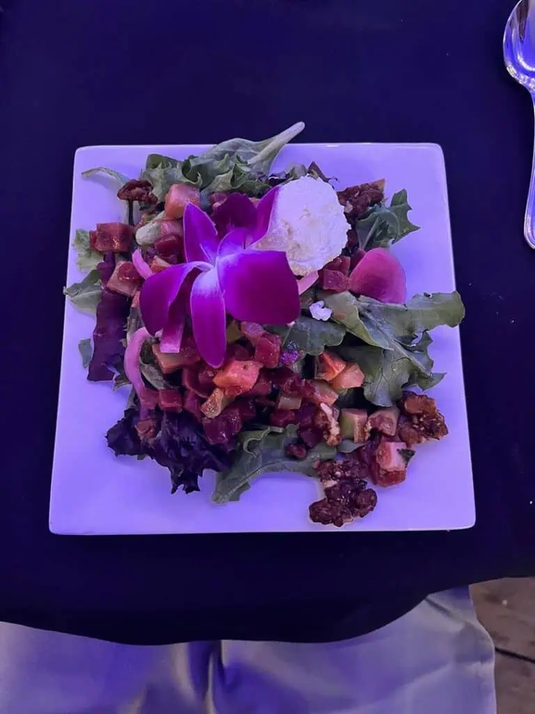 7IMG8725geo River Islands Plate of mixed greens salad with diced roasted vegetables and a purple orchid garnish on a white square plate